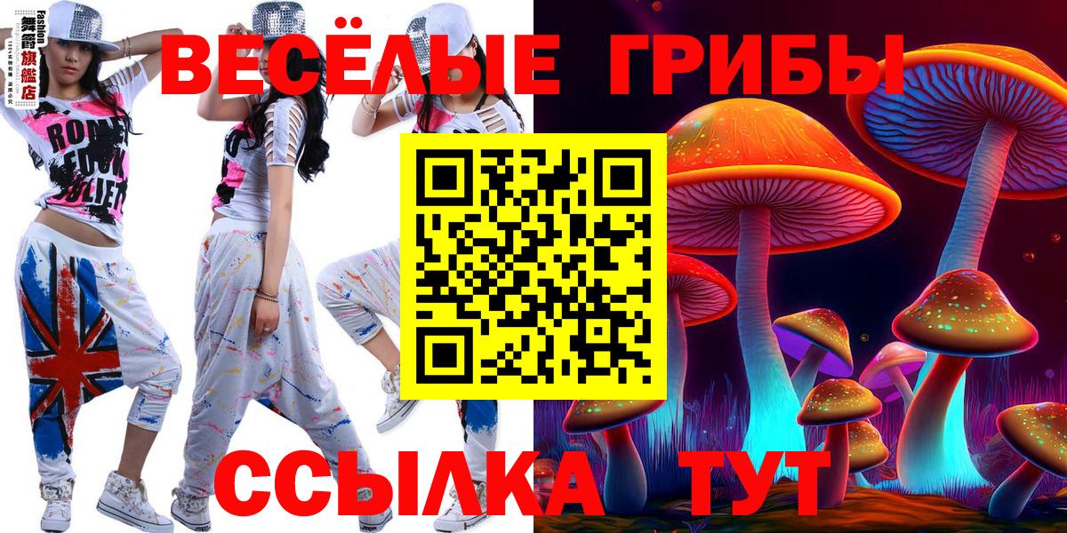 Владимир  Псилоцибиновые грибы Cubensis  Вход с VPN 